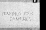 Photo d’un Jour : “Darminus” (par Sacha)