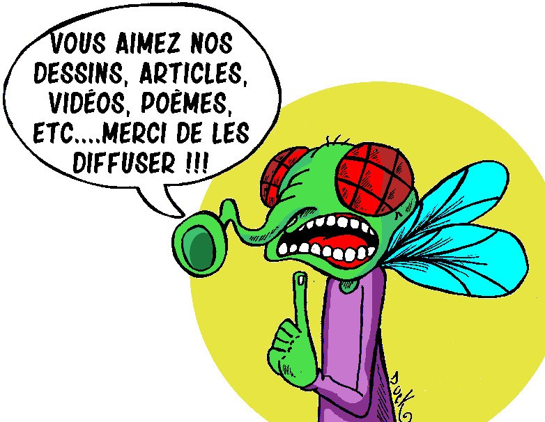 Mouchebulle