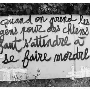 Prendre les gens pour des chiens n°2 - Carte Postale (format A6)