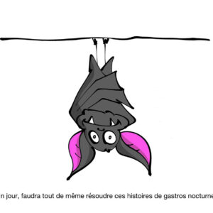 Chauves-souris n°2 - Carte Postale (format A6)