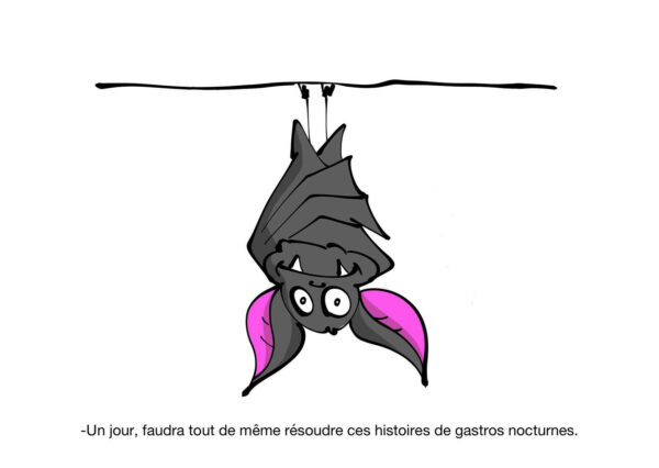 Chauves-souris n°2 - Carte Postale (format A6)
