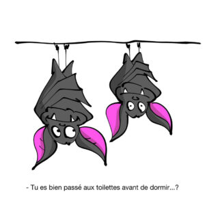 Chauves-souris n°1 - Carte Postale (format A6)