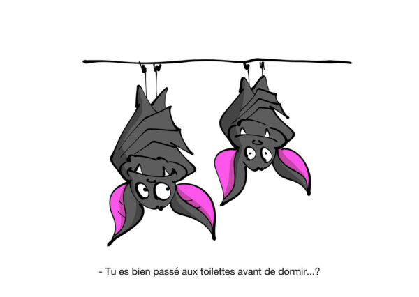 Chauves-souris n°1 - Carte Postale (format A6)