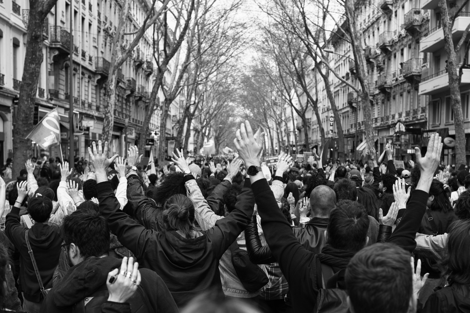 Marche des solidarités contre le racisme et le fascisme de Lyon - Denis Caye