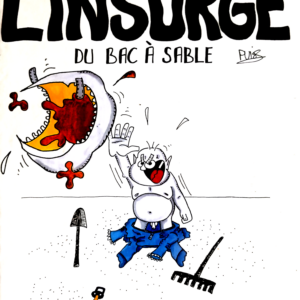 ALBUM : L’INSURGÉ DU BAC À SABLE – par Puiss