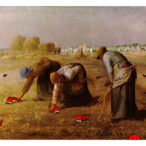 Carte postale : Des gruneuses (format A6)