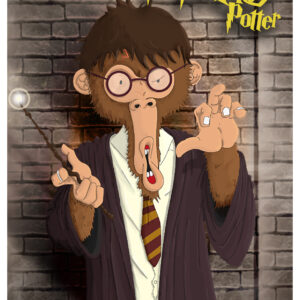 Carte postale : Monkey Potter (format A6)