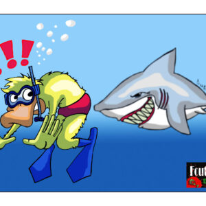 Carte postale : Requin ! (format A6)