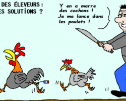 Crise des éleveurs : quelles solutions ? - Frep (25/07/15)