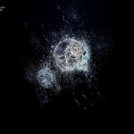 Vanité Négative (Said Sahli)