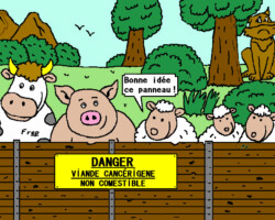 Viande avariée - Frep (02/11/15)