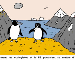 Conseil de pingouin - Frep (08/12/15)