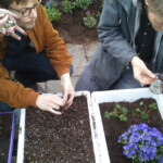 De la violence, de l’insurrection et des radis, c'est la guerre à la République (J.N.V)