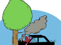 Résultats mortels du code de la route 2016 - Duck (05/05/16)