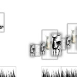 Image image 88 - Saïd Sahli