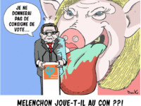 Consigne de vote - Duck (29/04/17)