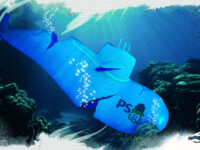 Le naufrage du PS - Jerc (28/11/17)