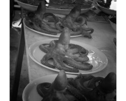 Condimenti du natura sessuale - Roland