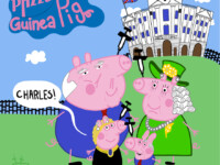 Cobayes royaux - V (15/12/20)