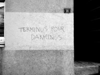 Terminus pour Darminus - Sacha