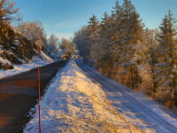 Choisis ta voie - Le Texan